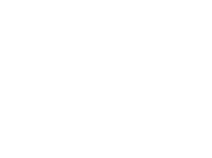 Partner Plus Media