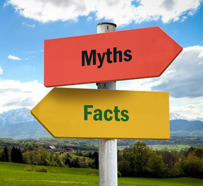 Myths Vs Facts Ap Hp
