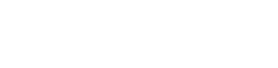 Nphi Logo White Logo 1749561158